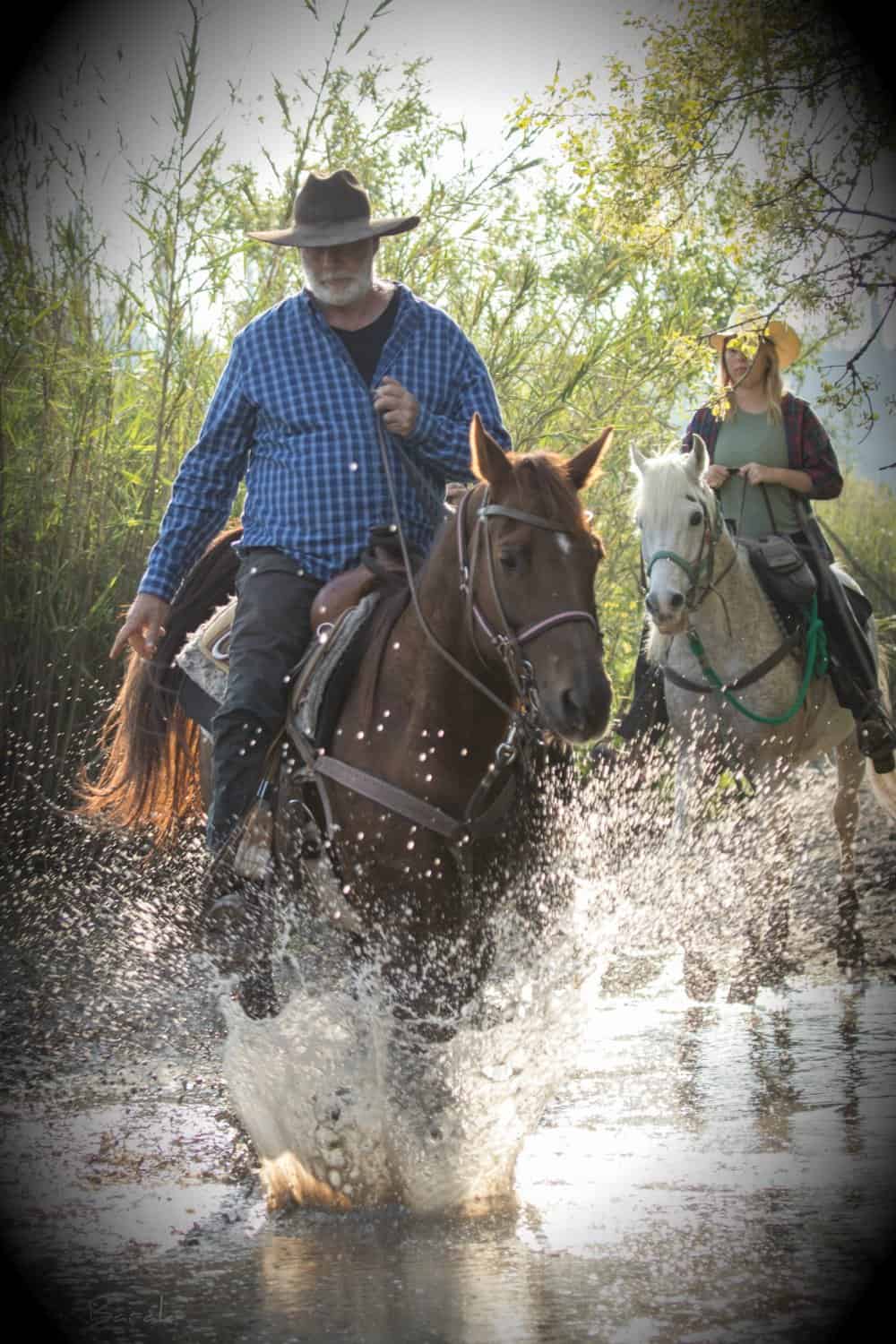 Dubi's ranch